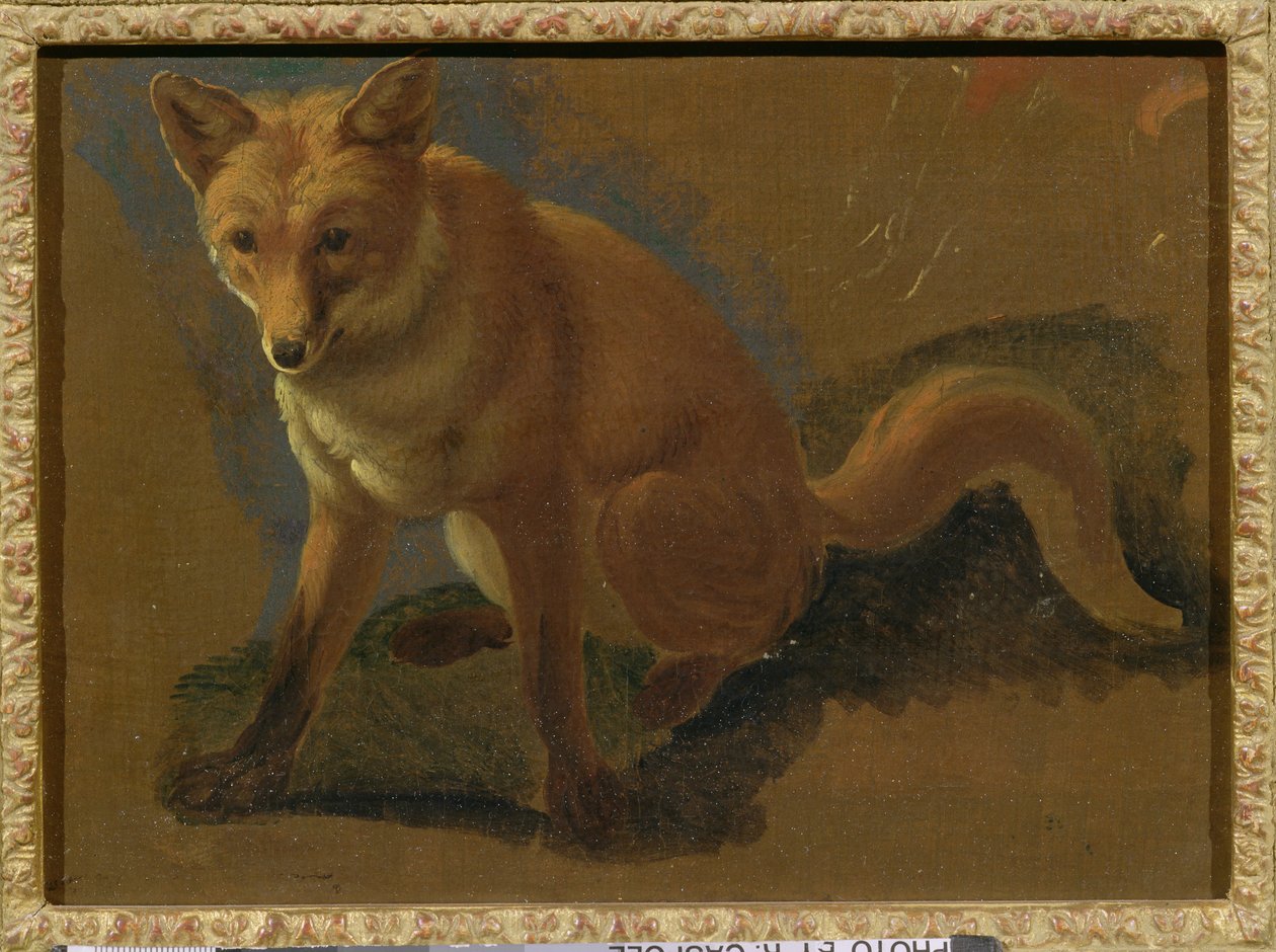 Studie lišky od Jacques Laurent Agasse