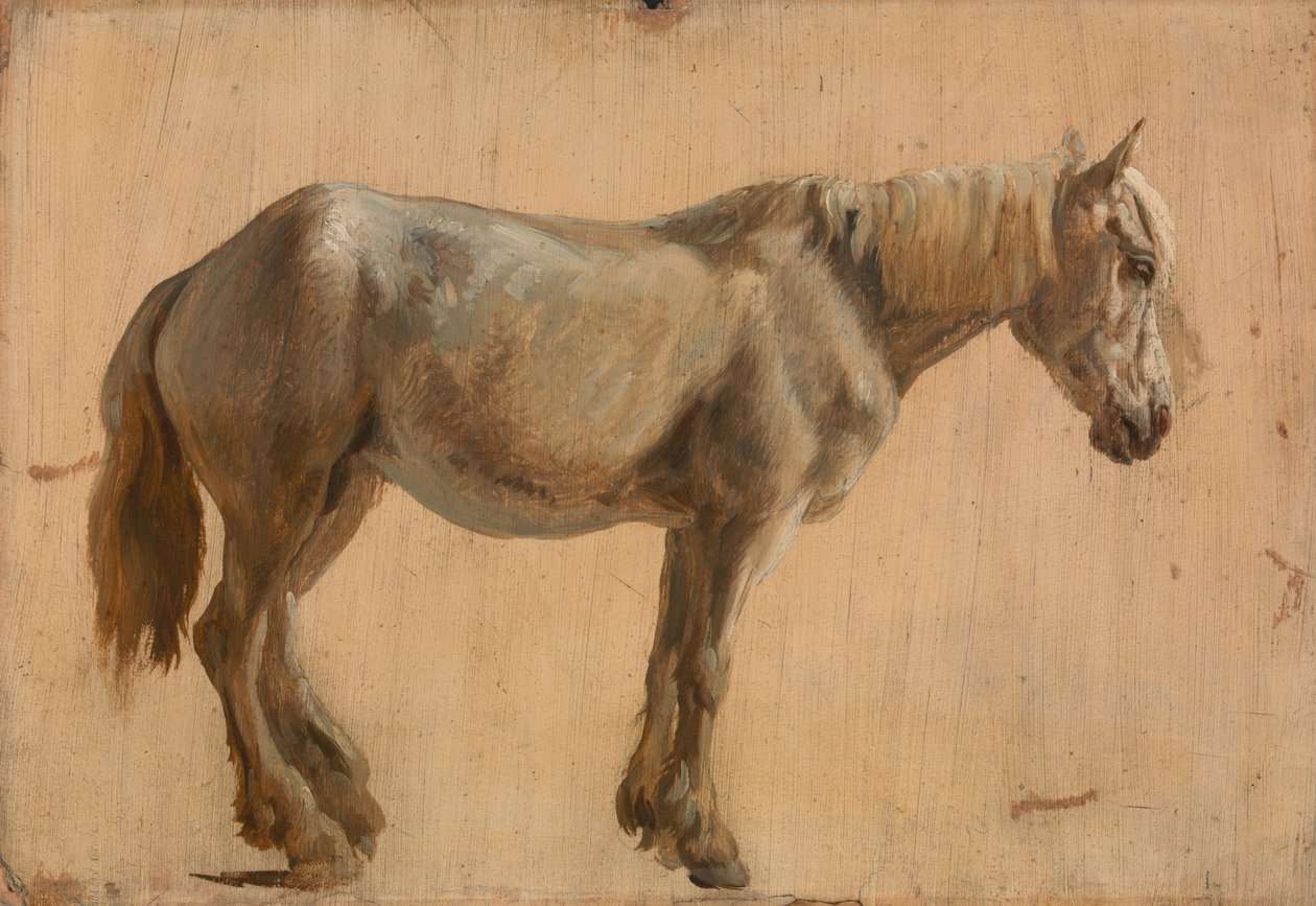 Studie šedého koně od Jacques Laurent Agasse