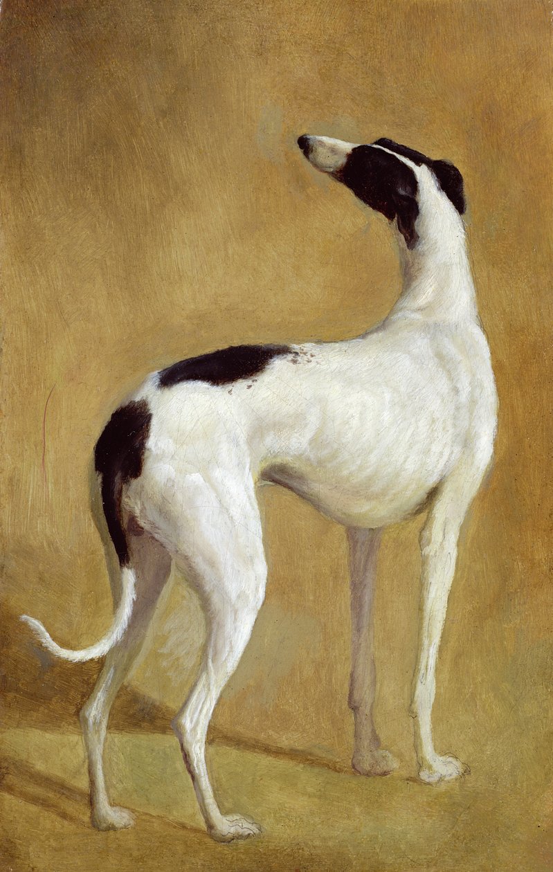 Studie chrta od Jacques Laurent Agasse