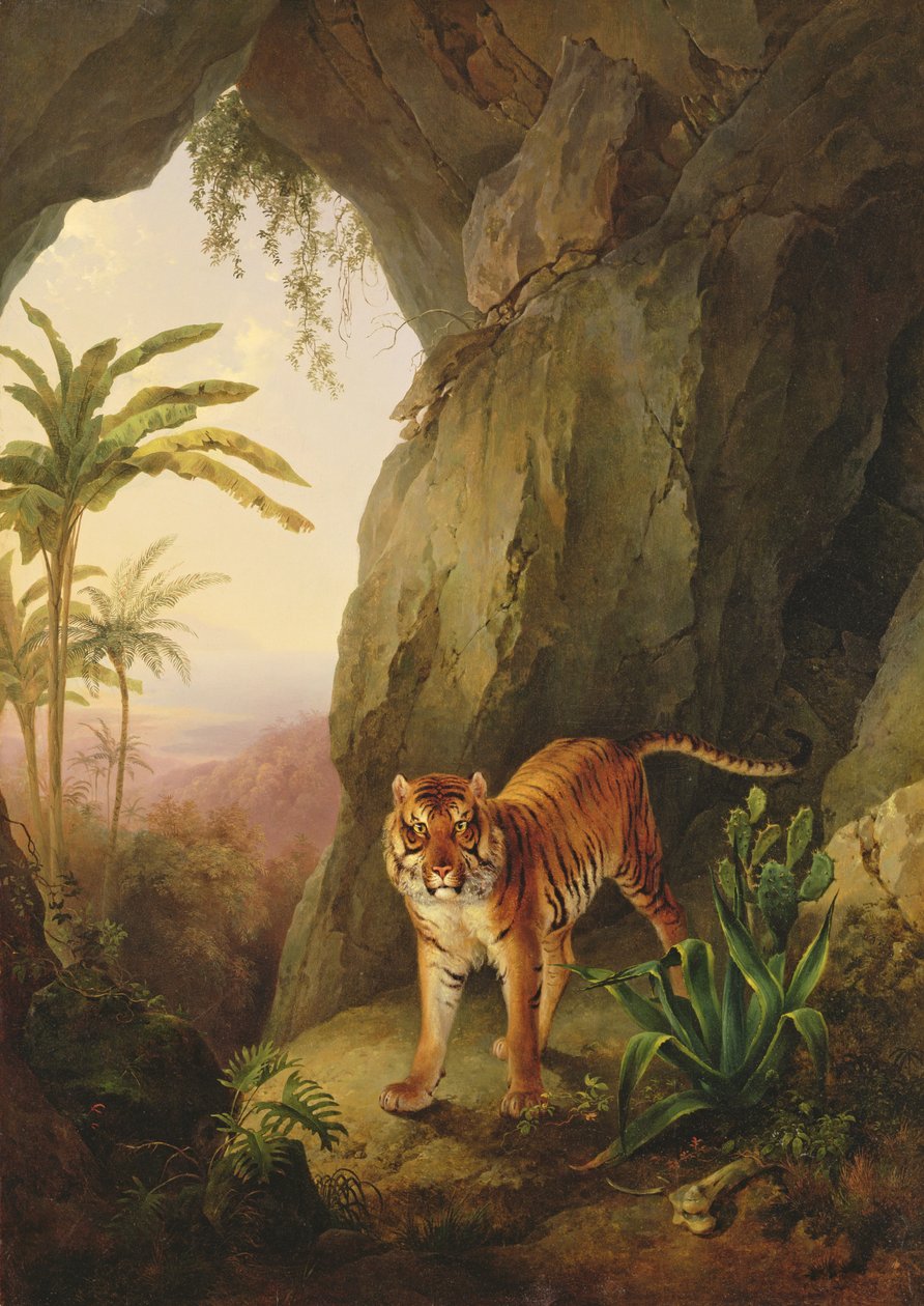 Tygr v jeskyni, kolem roku 1814 od Jacques Laurent Agasse