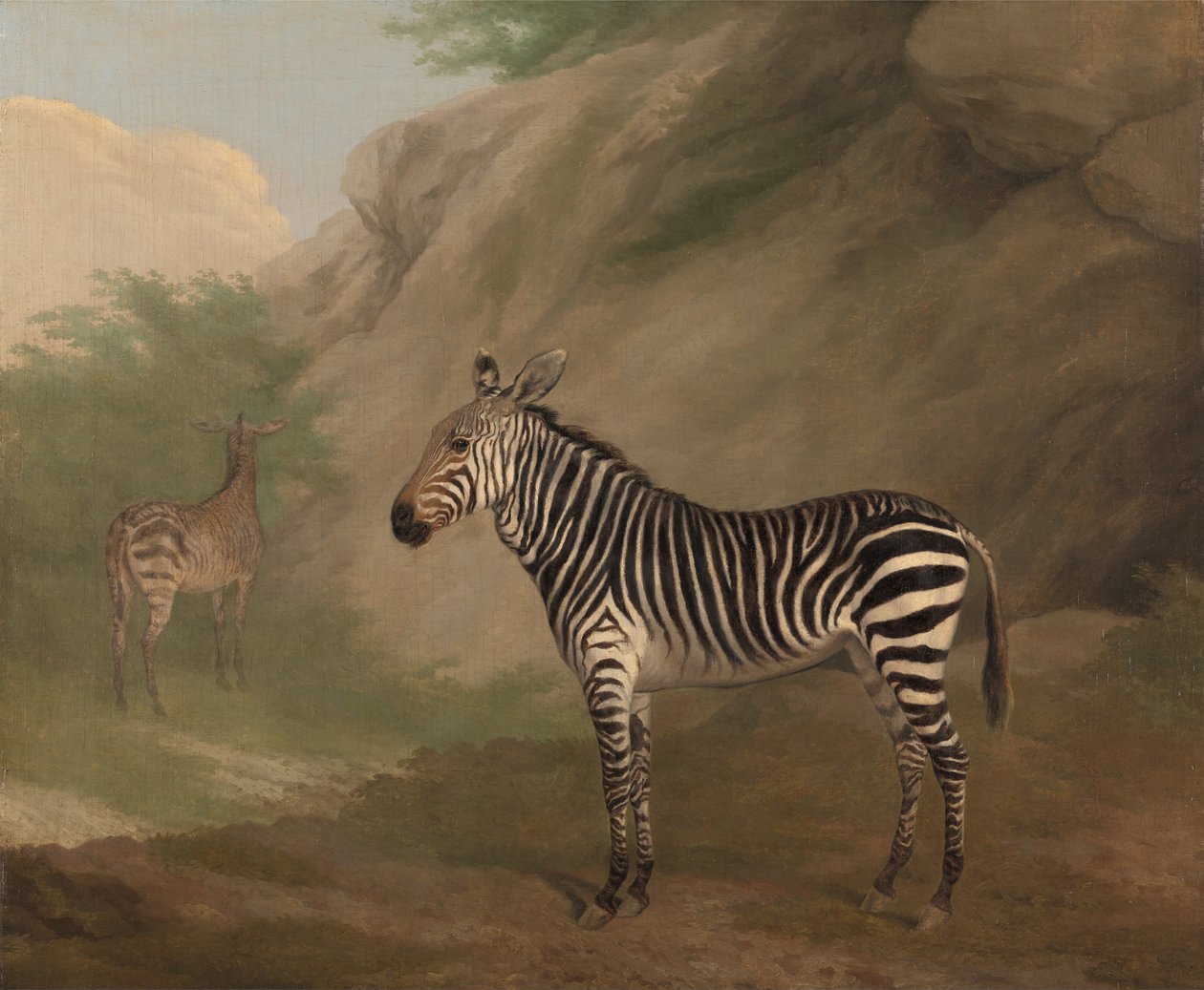 Zebra od Jacques-Laurent Agasse