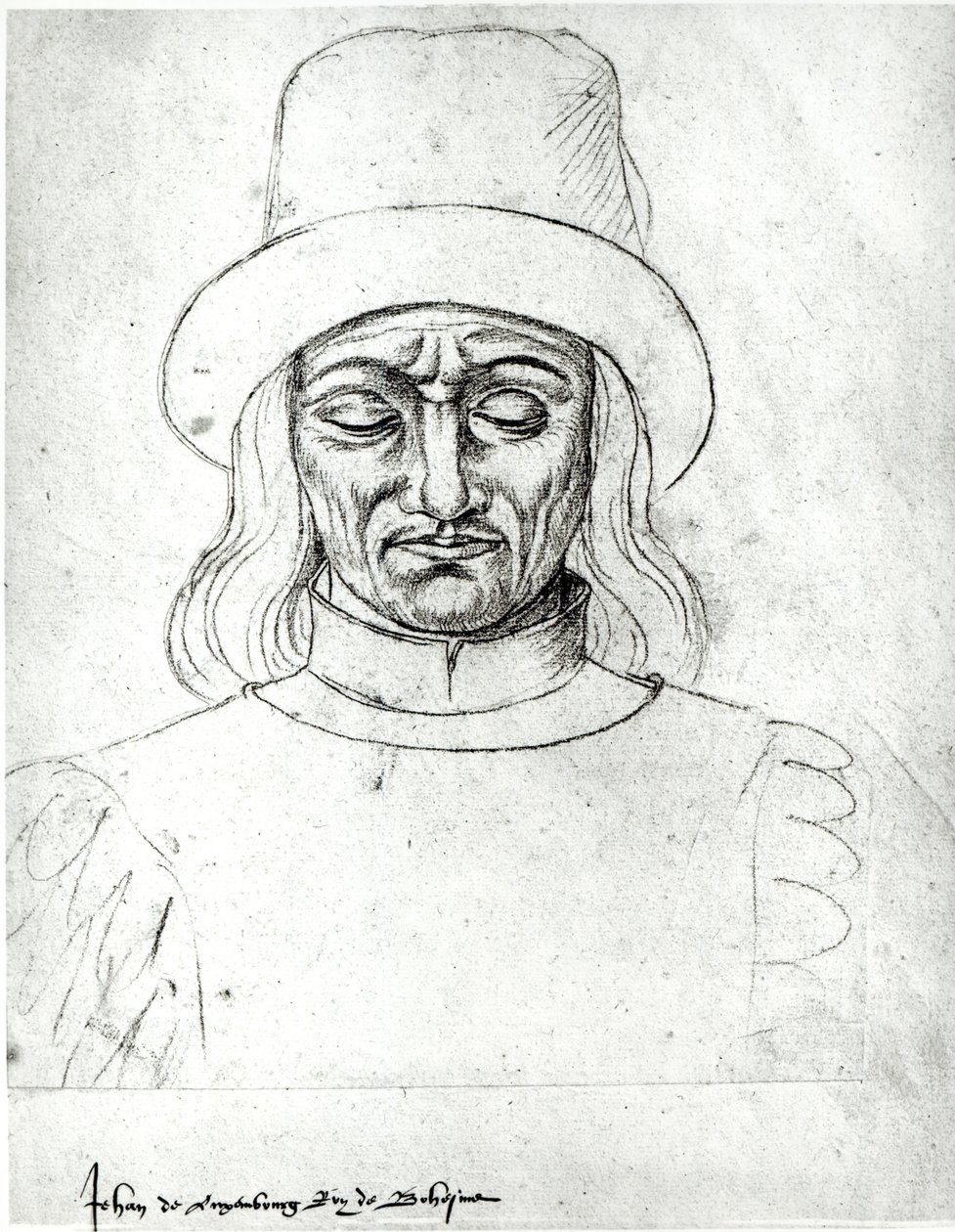 Ms.266 fol.171 Jan Lucemburský (1296-1346), český král, z 