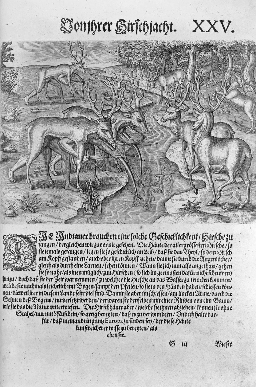 Indiáni z Floridy loví jeleny maskované pod jeleními kůžemi, z „Americae Decima Pars“ vyryté Theodorem de Bry (1528-98) 1591 od Jacques Le Moyne