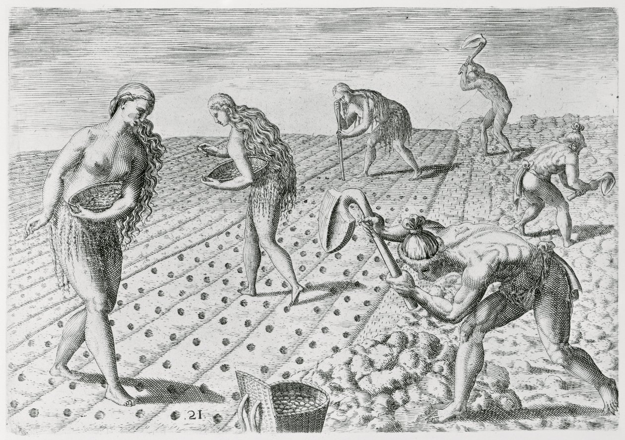 Indiáni z Floridy sázející kukuřici, z „Grandes Voyages“, 1591, napsal a vyryl Theodor de Bry (1528-98) (viz také 180136) od Jacques Le Moyne
