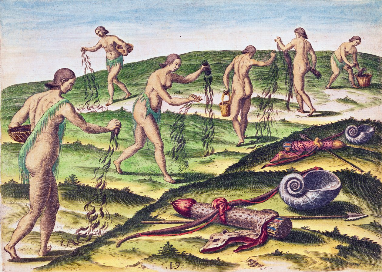 Jak ženy naříkají na pohřebištích, z „Brevis Narratio...“, vyryté Theodorem de Bry (1528-98), vydáno ve Frankfurtu, 1591 od Jacques Le Moyne