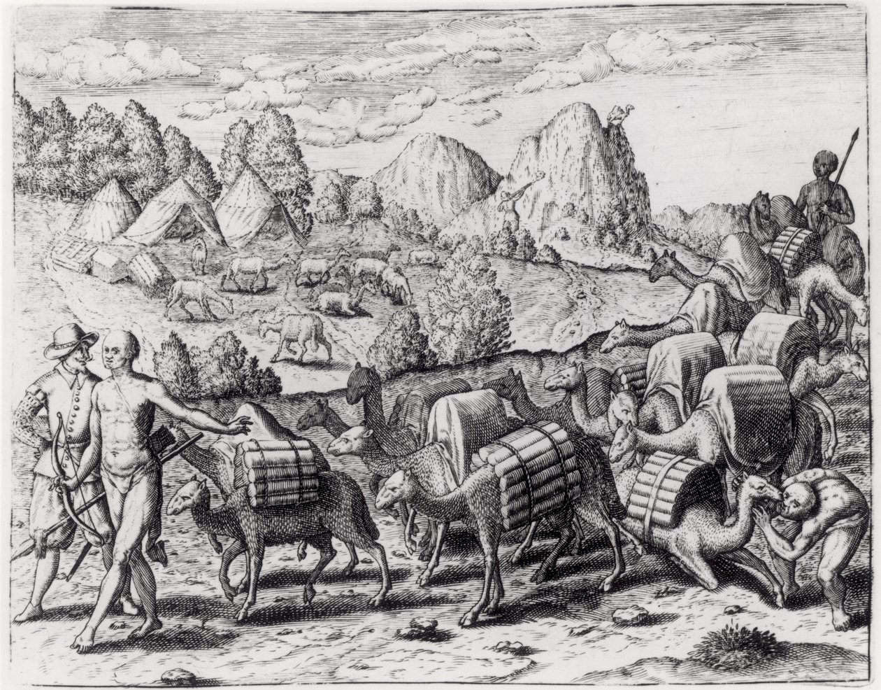 Pack Train of Llamas Laden with Silver z Potosi Mines of Peru, vyrytý Theodorem de Bry (1528-98), z 