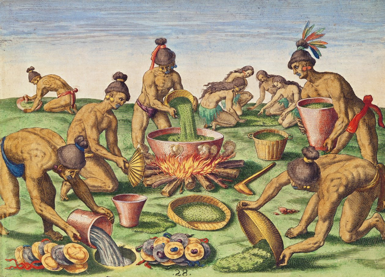 Přípravy na hostinu, z „Brevis Narratio...“, vyryl Theodore de Bry (1528-98), vydané ve Frankfurtu, 1591 od Jacques Le Moyne