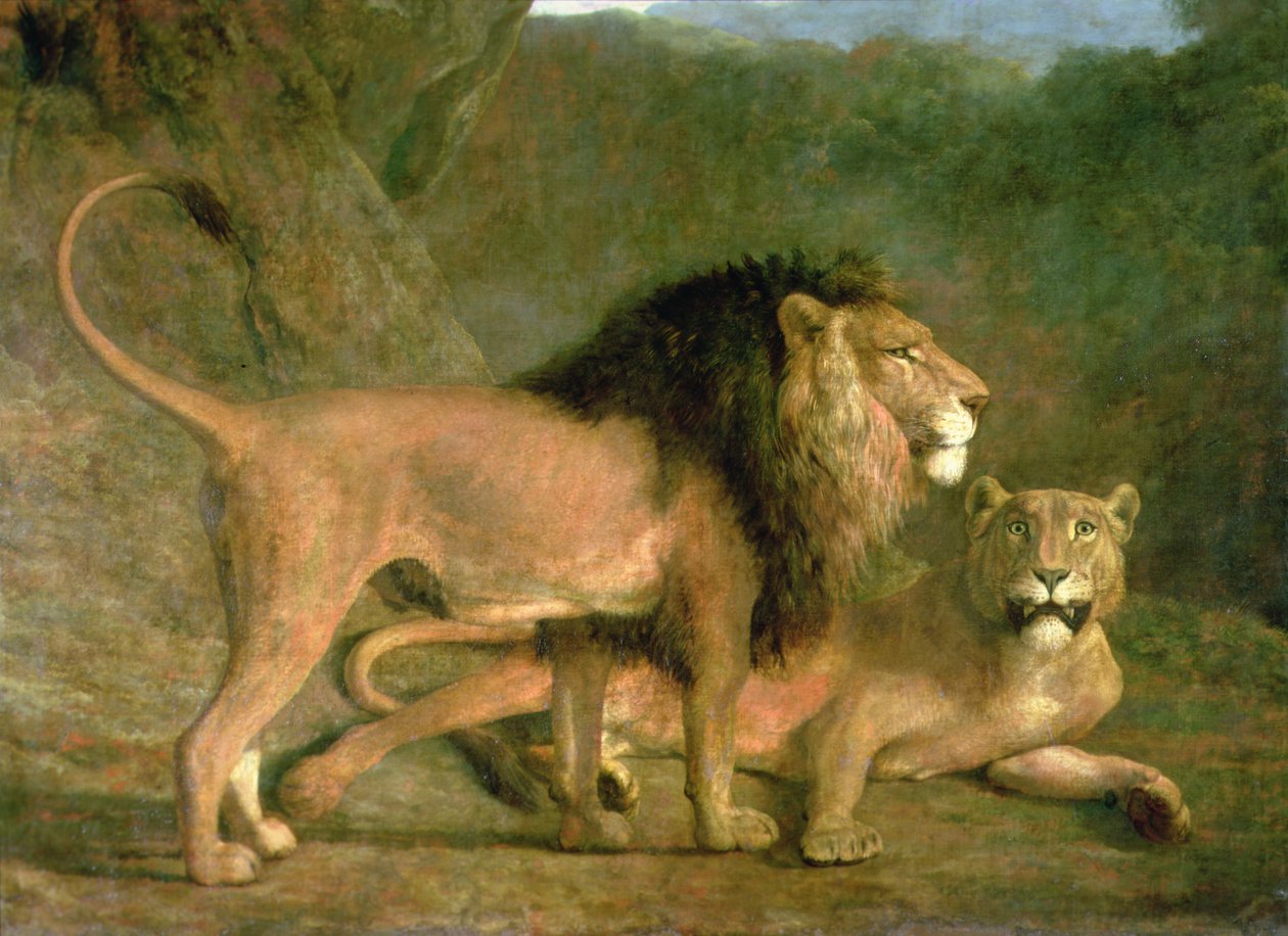 Lev a lvice ve Skalnatém údolí (olej na plátně) od Jacques Laurent Agasse