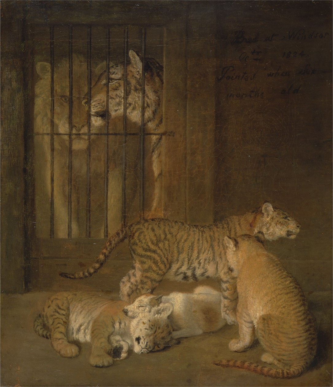 Skupina Whelps chovaných mezi lvem a tygřicí od Jacques-Laurent Agasse
