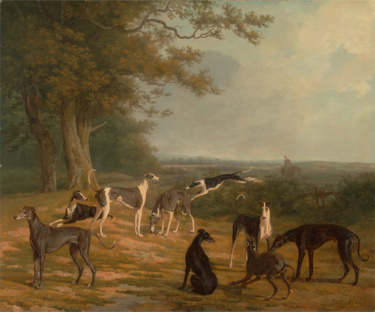 Devět chrtů v krajině od Jacques-Laurent Agasse