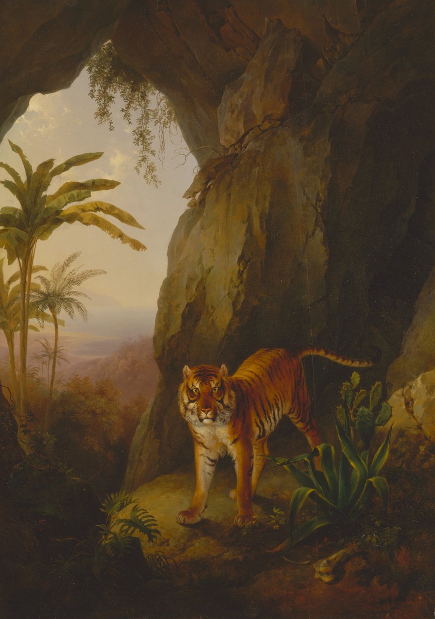 Tiger v jeskyni od Jacques-Laurent Agasse