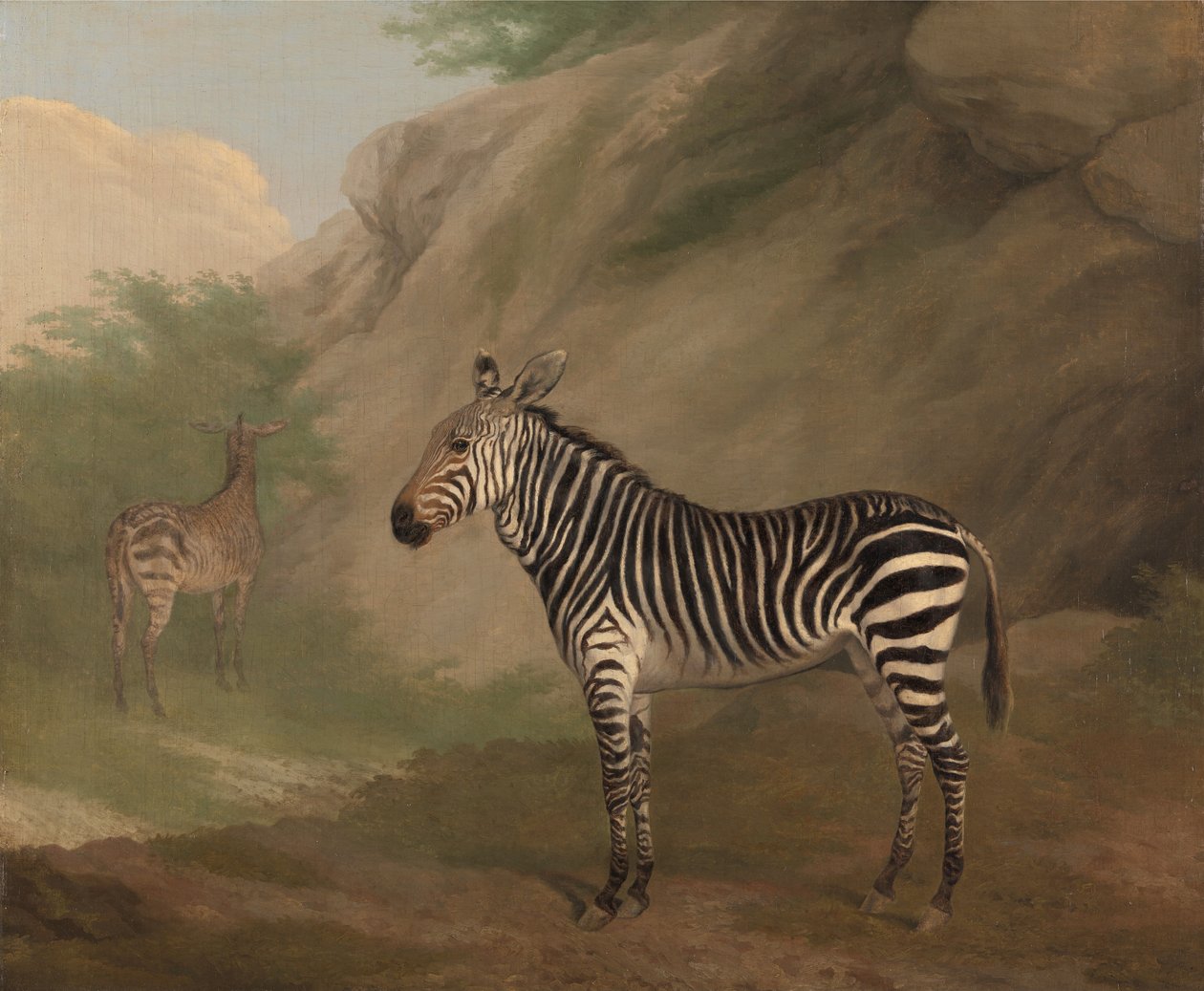 Zebra od Jacques-Laurent Agasse
