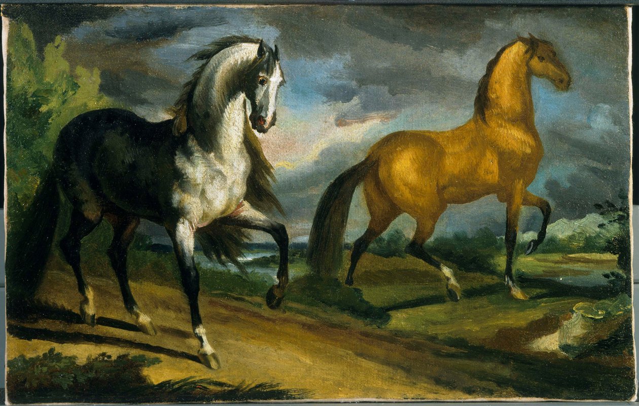 Dva koně od Jacques Louis David