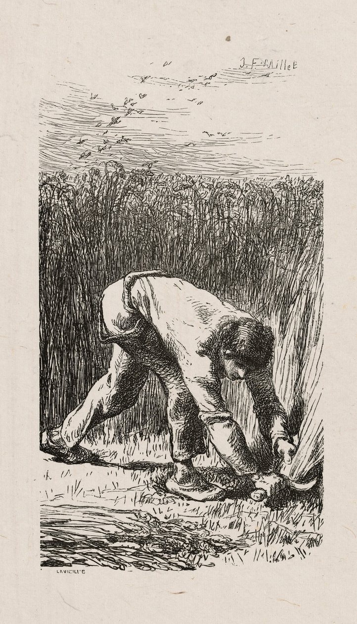 Žací stroj od Jacques Adrien Lavieille