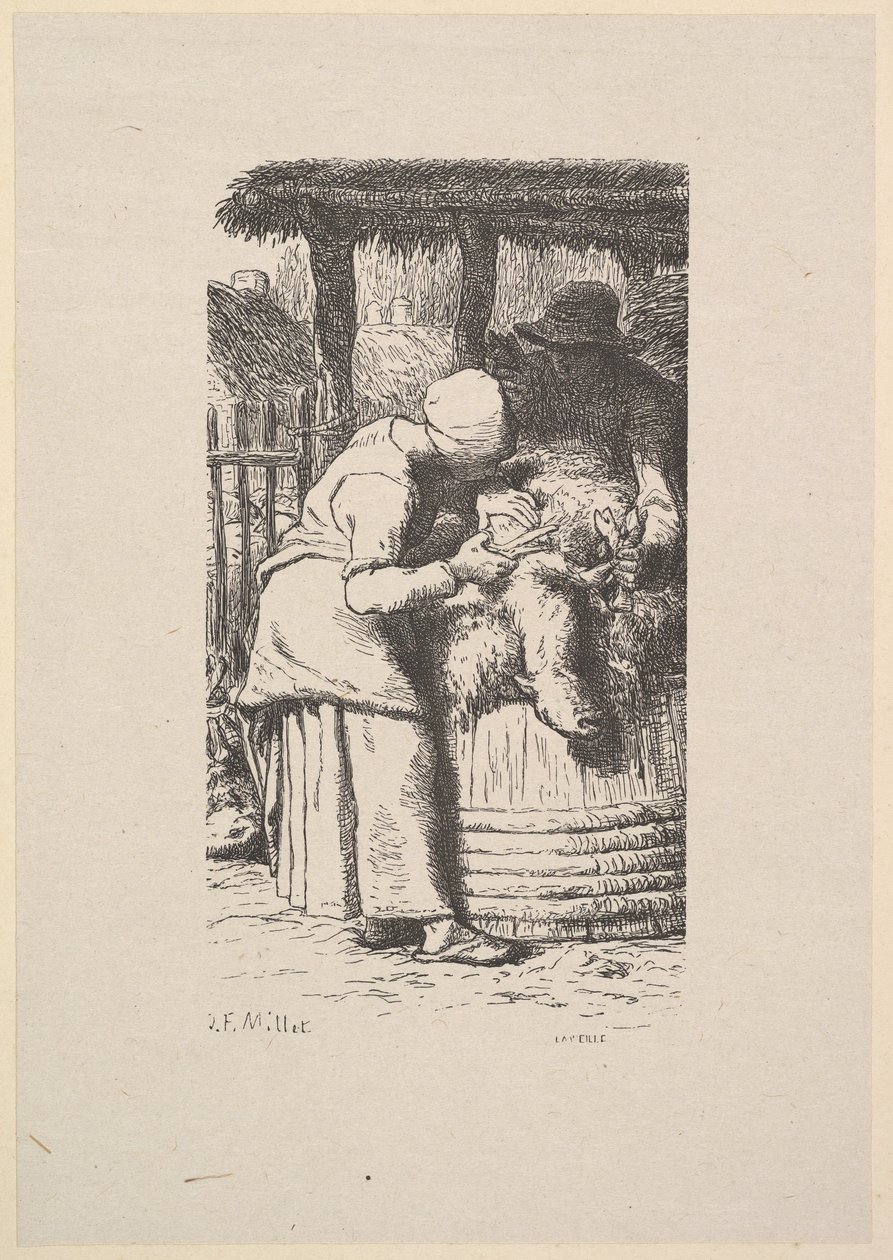 Střih ovcí, 1853. od Jacques Adrien Lavieille