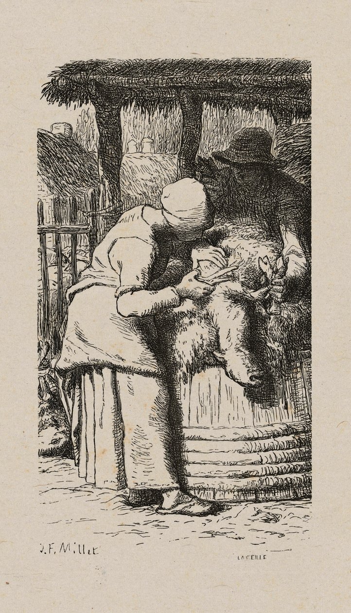 žena stříhání ovcí od Jacques Adrien Lavieille