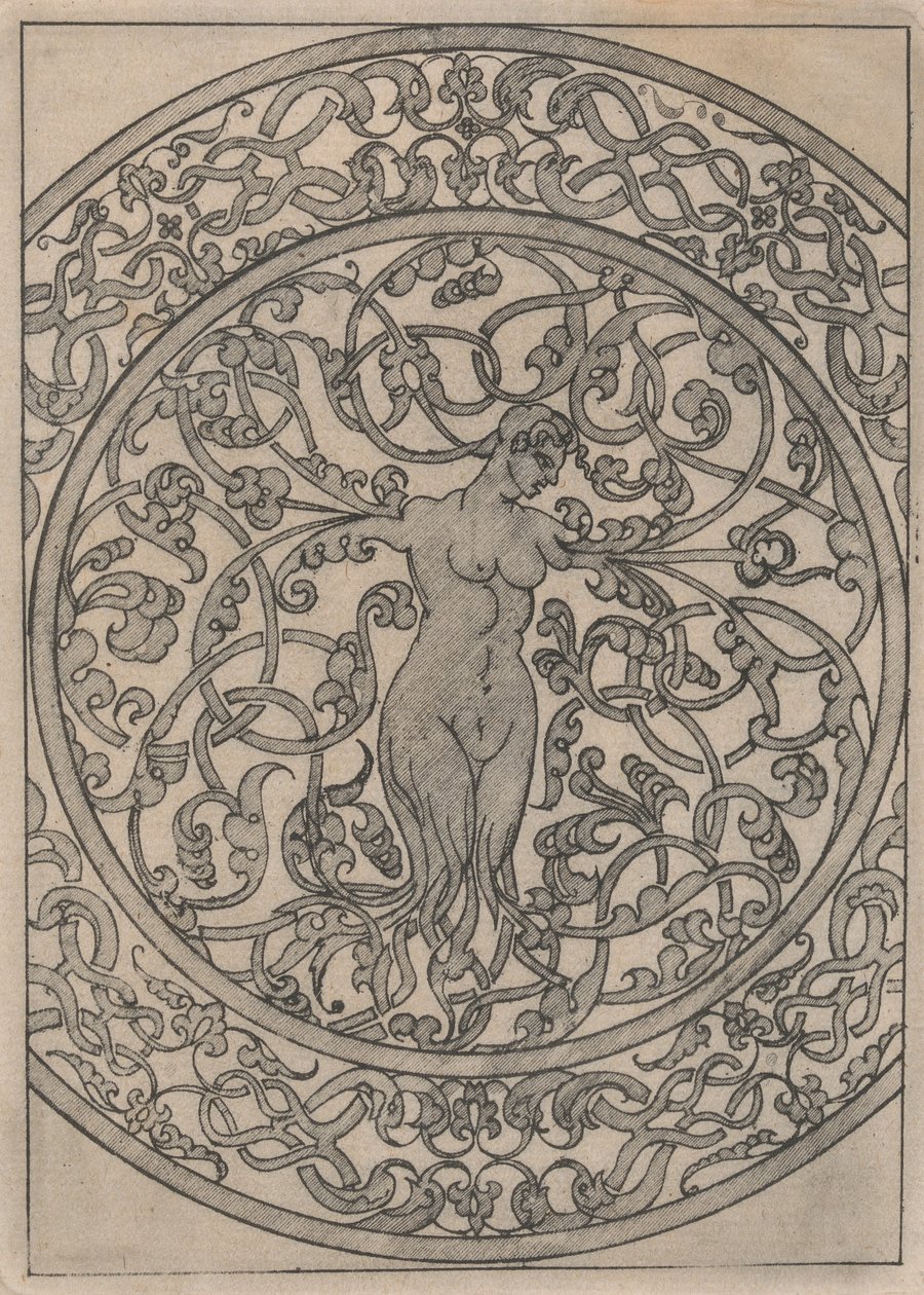 Kopie podle desky „Kniha obsahující pasáž z Moresek“ 11, 19. století. od Jacques Androuet Du Cerceau