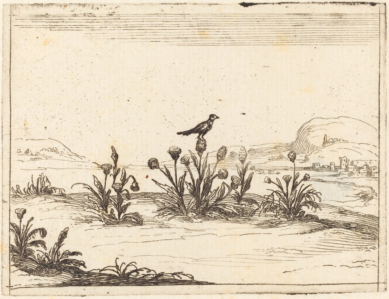 Pták posazený v bodláku od Jacques Callot