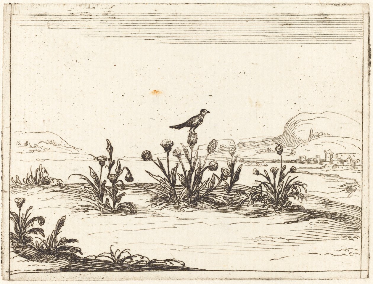 Pták posazený na bodlák od Jacques Callot