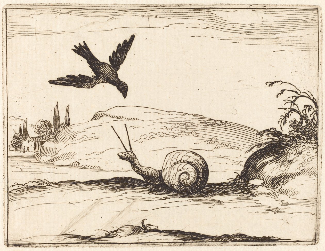 Vrána a šnek od Jacques Callot
