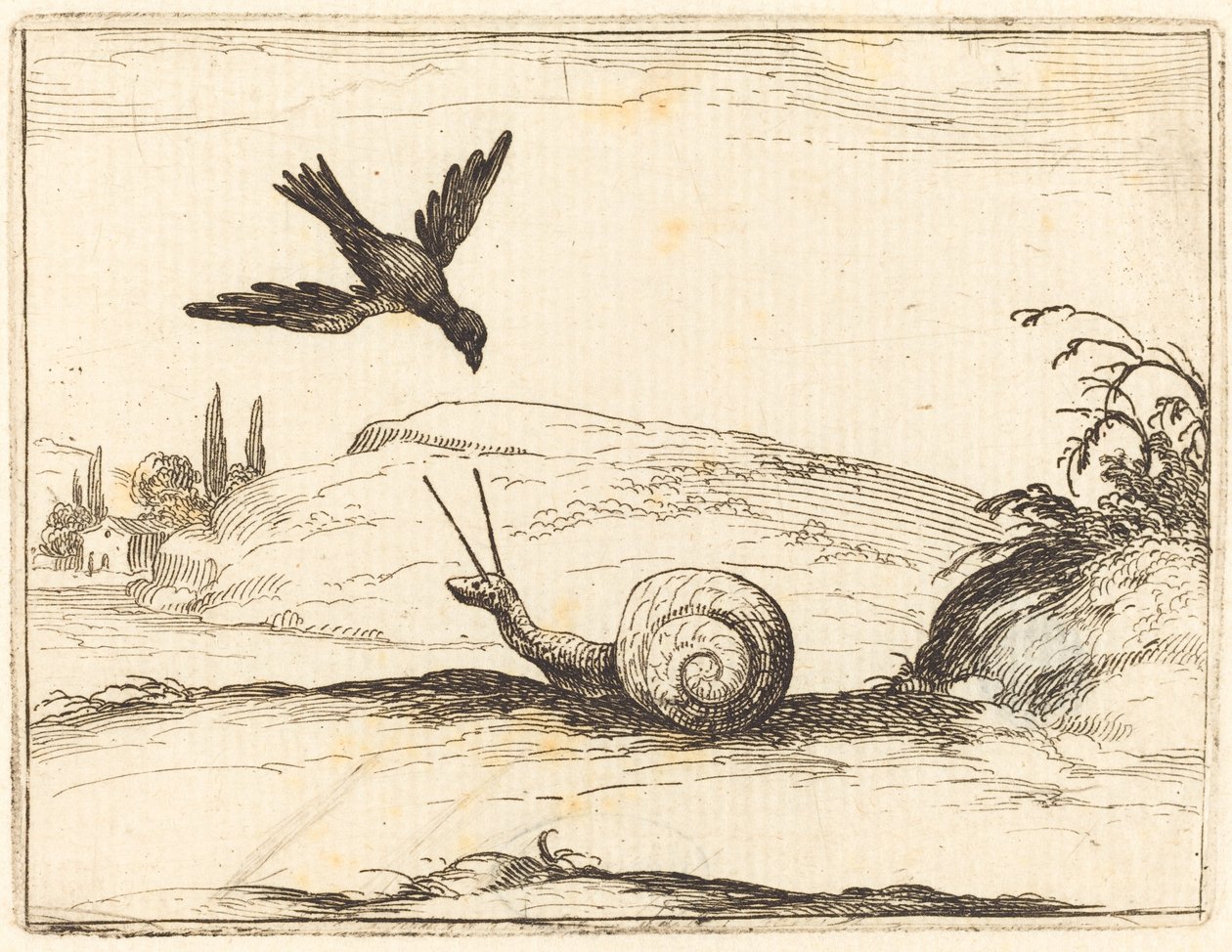 Vrána a šnek od Jacques Callot