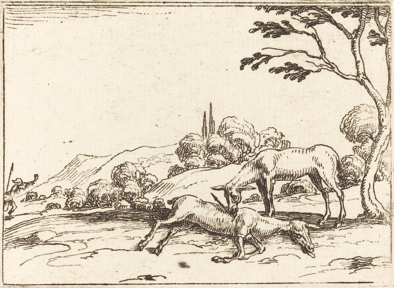 Srna truchlí nad svým hříbětem. od Jacques Callot