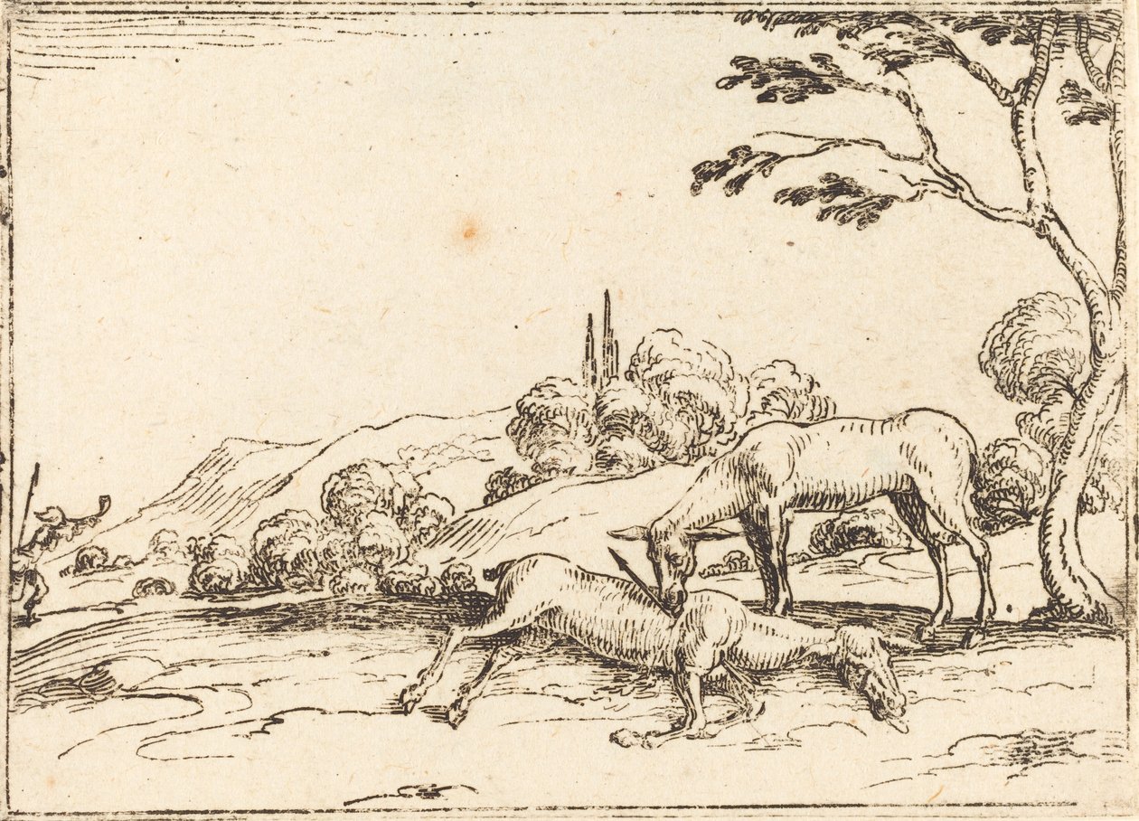 Srna truchlí nad svým hříbětem od Jacques Callot