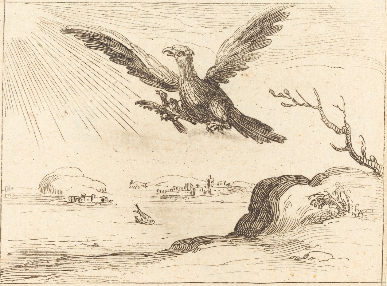 Orel a mladý. od Jacques Callot