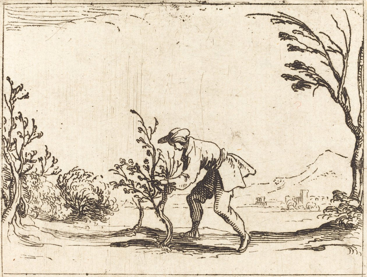 Muž řezání balzám-strom od Jacques Callot