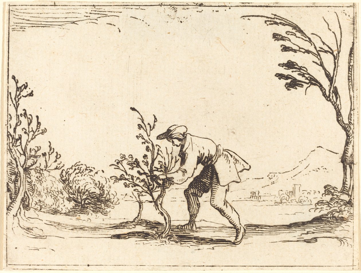 Muž řezání balzám-strom od Jacques Callot