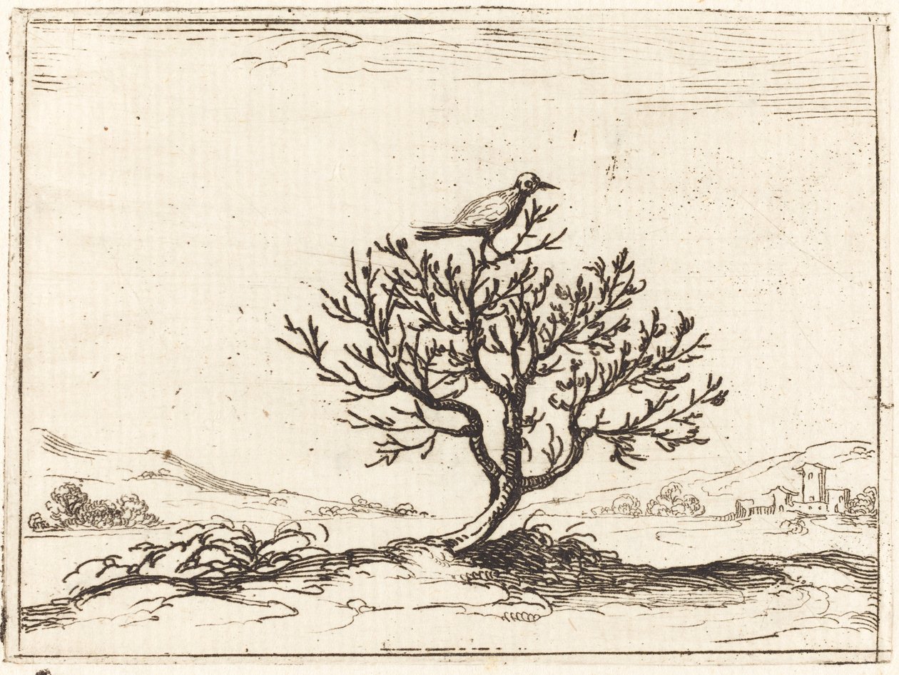Slavík v keři od Jacques Callot