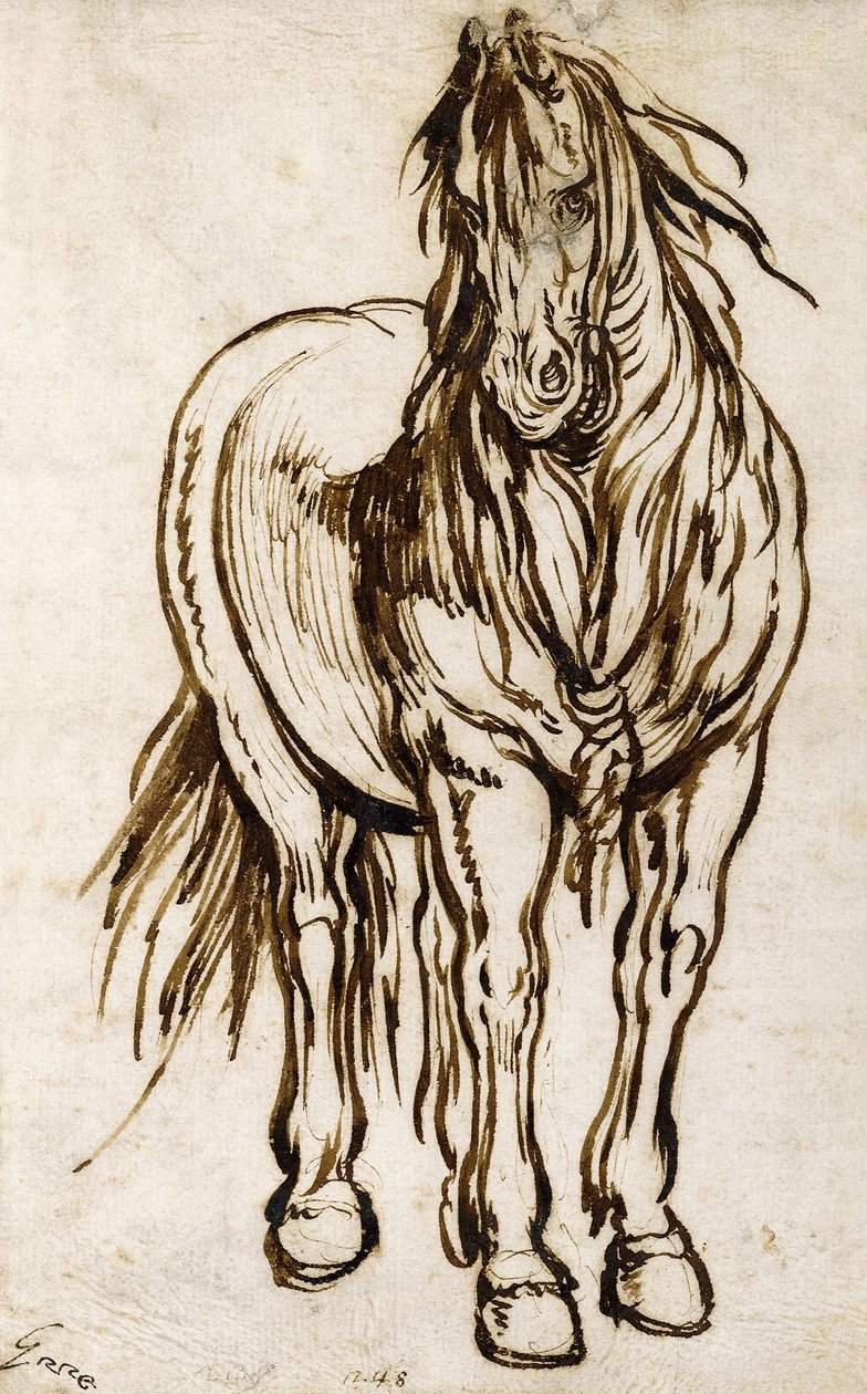 Studie koně, od Jacques Callot