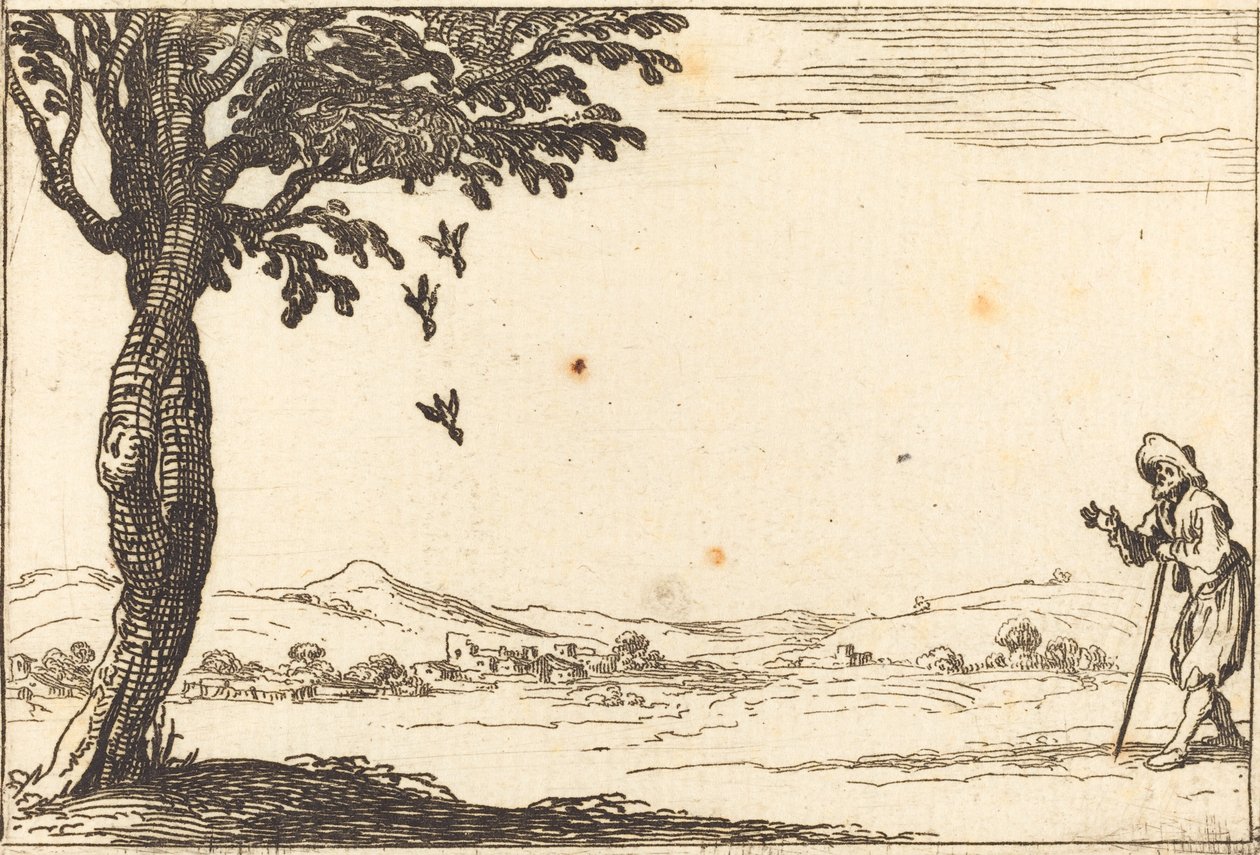 Vrána a její mládě od Jacques Callot