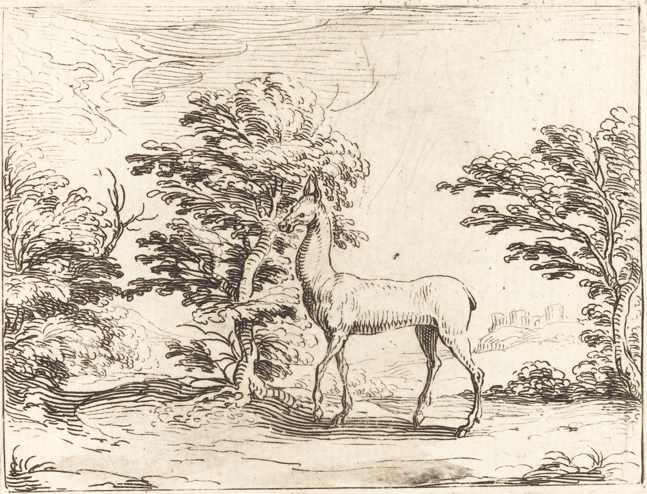 Doe. od Jacques Callot