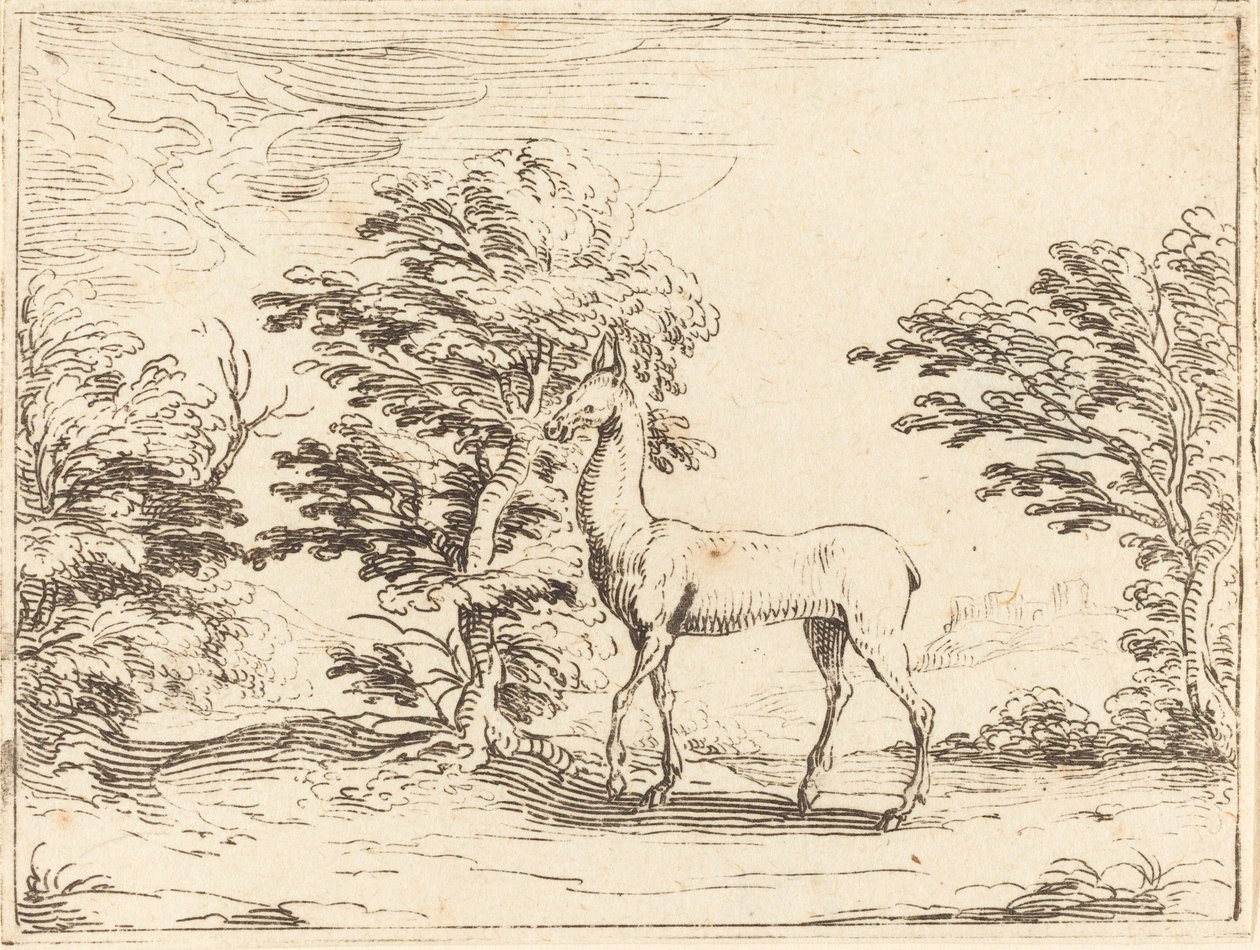 Doe od Jacques Callot