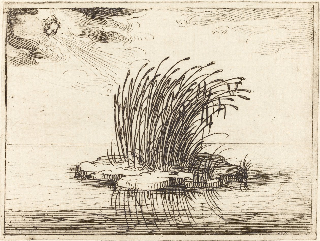 Rákosí a vítr od Jacques Callot
