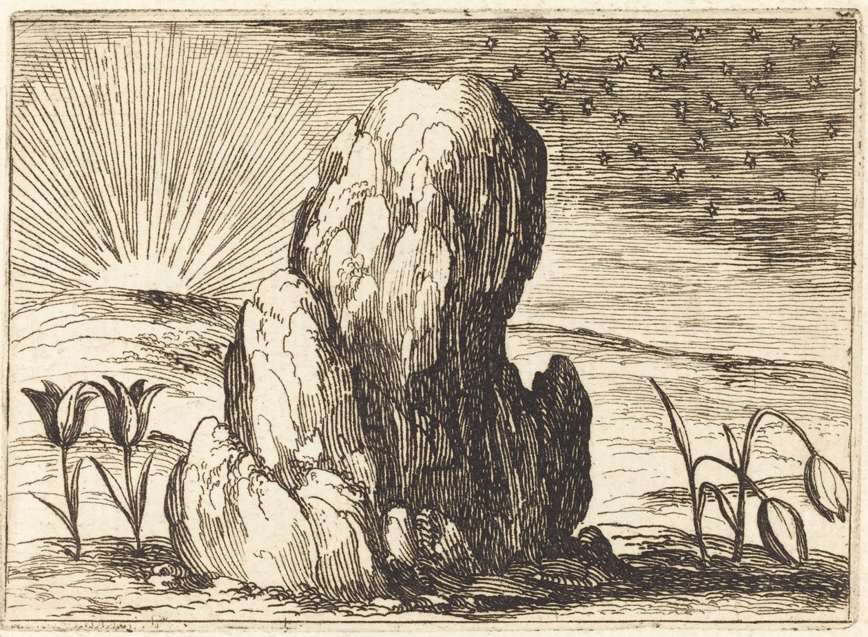 Tulipány a slunce od Jacques Callot
