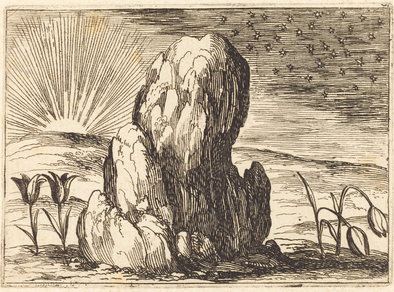 Tulipány a slunce, 1628. od Jacques Callot