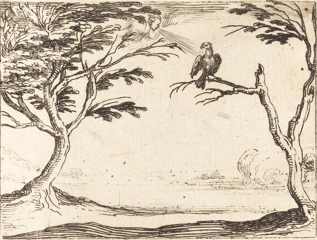 Vulture od Jacques Callot