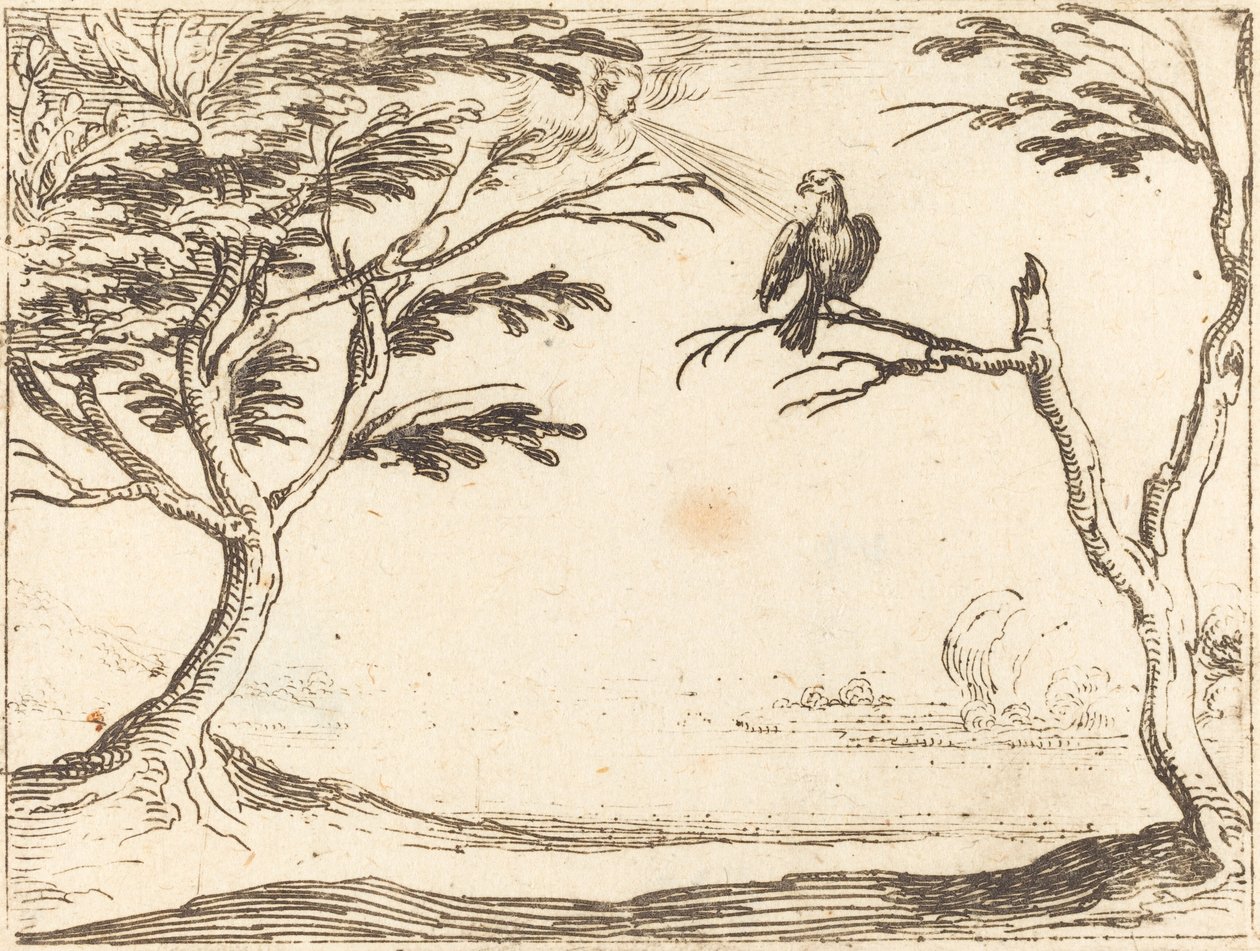 Vulture od Jacques Callot