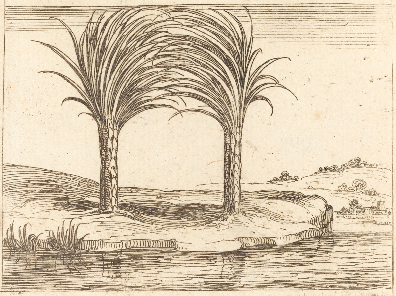 Dvě palmy. od Jacques Callot