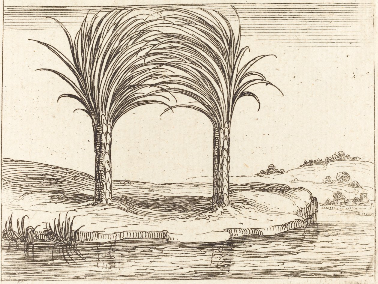 Dvě palmy od Jacques Callot