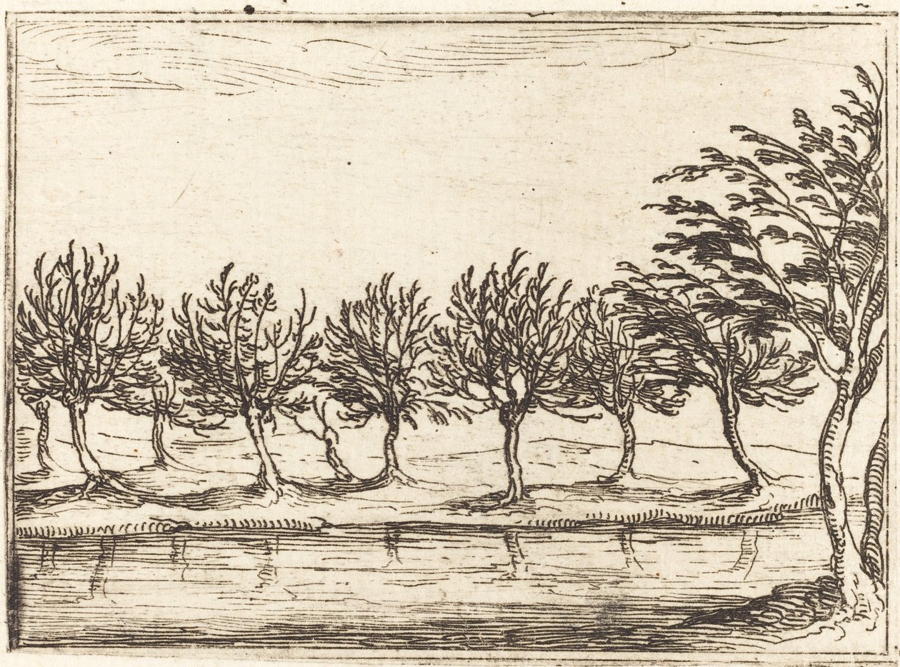 Vrby u Vodního okraje od Jacques Callot