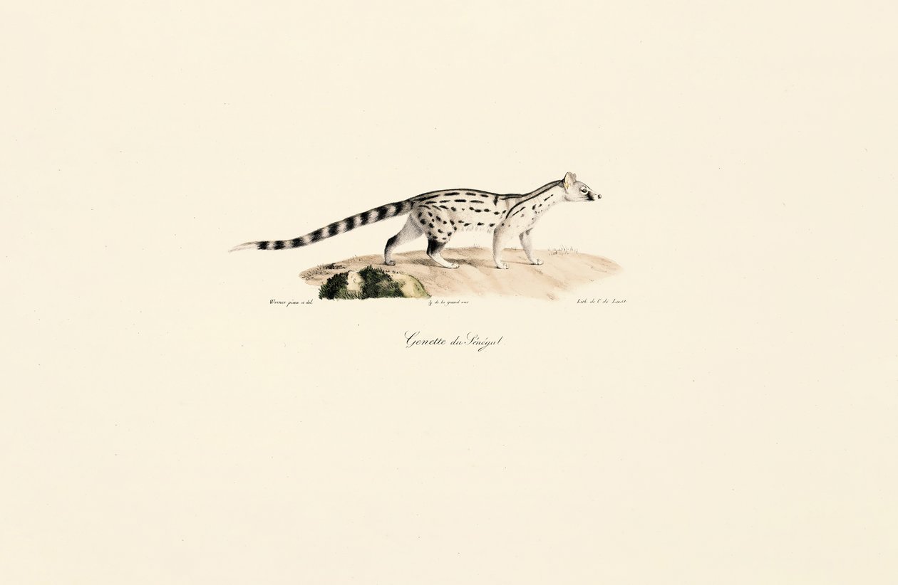  od Jacques Christophe Werner