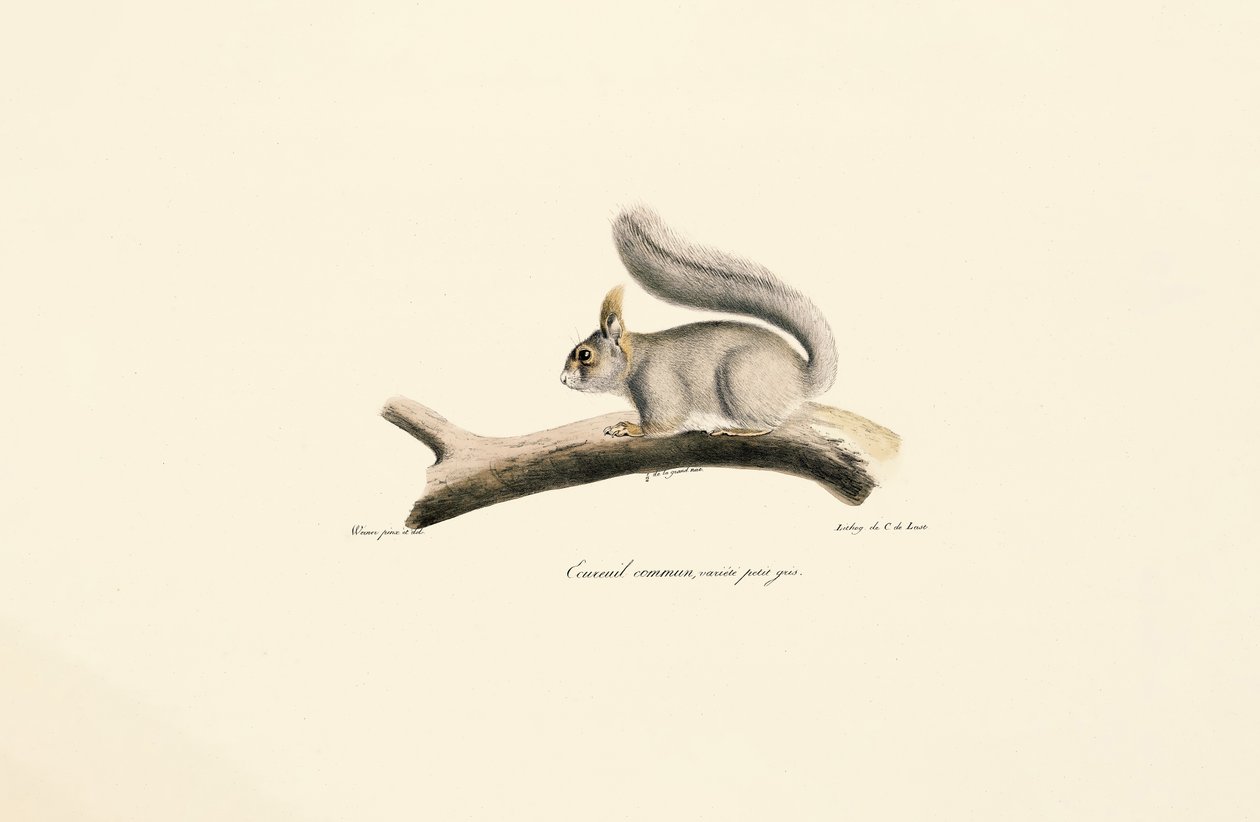  od Jacques Christophe Werner