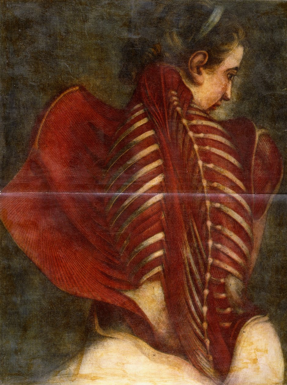 Stažený anděl, kolem roku 1745 od Jacques Fabien Gautier dAgoty