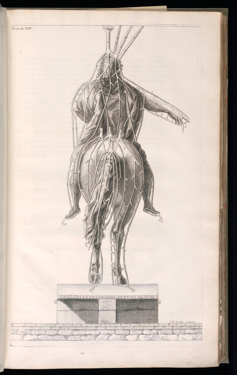 Vázaný tisk (Francie) od Jacques François Blondel