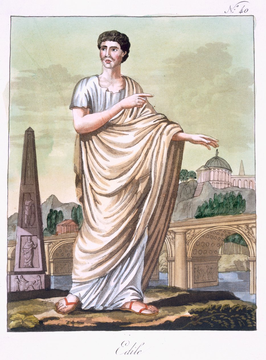 Aedilus, ilustrace z 