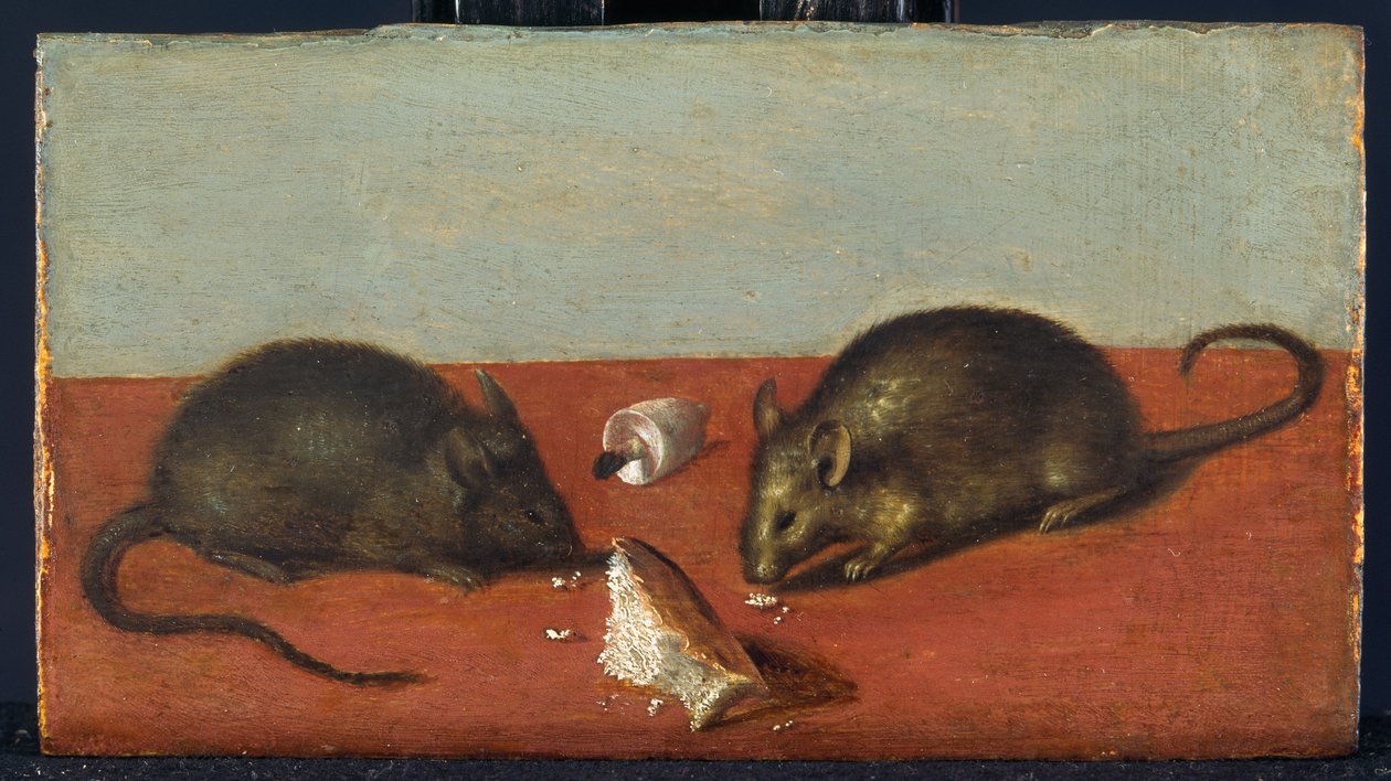 Myši, asi 1600 (olej na dubovém dřevě) od Jacques II de Gheyn