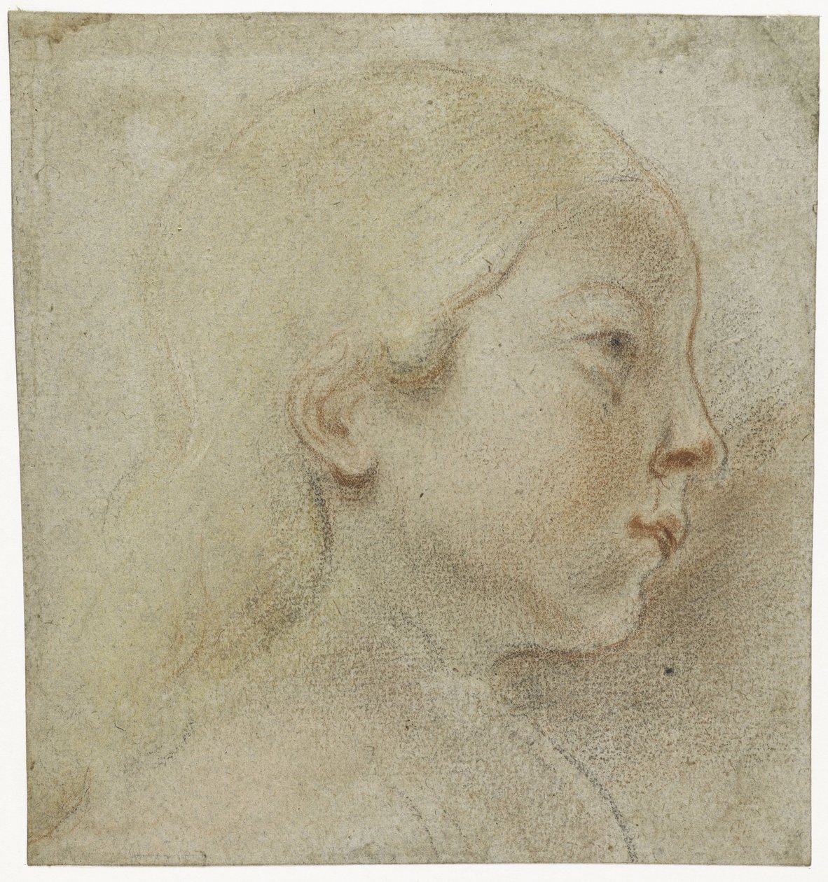 Hlava dítěte, vpravo od Jacques Jordaens